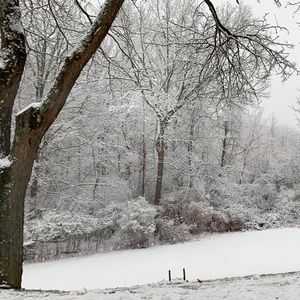 Meet your Posher, Kyleigh